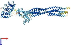 AlphaFold protein structure predicition of Mouse Recombinant Actn2 Protein, UniprotID Q9JI91