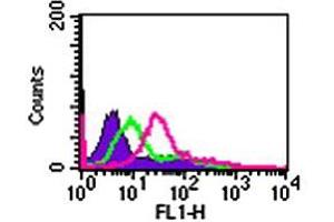 Cell-surface flow cytometry analysis of IL24 in Jurkat cells. (IL-24 anticorps  (AA 100-150))