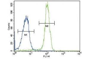 SDHD antibody flow cytometric analysis of HeLa cells (green) compared to a 