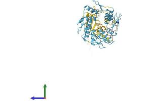 AlphaFold protein structure predicition of Human Recombinant ZNF355P Protein, UniprotID Q9NSJ1