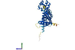 AlphaFold protein structure predicition of Mouse Recombinant Arhgef39 Protein, UniprotID Q66JY6
