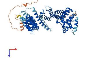 AlphaFold protein structure predicition of Mouse Recombinant Taf1a Protein, UniprotID P97357