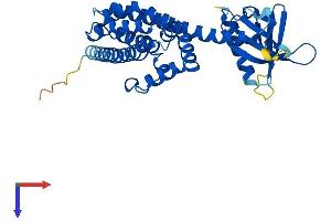 AlphaFold protein structure predicition of Human Recombinant ARHGEF39 Protein, UniprotID Q8N4T4