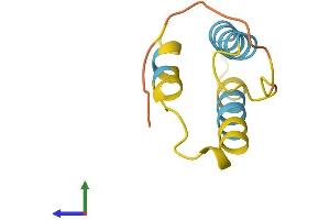 AlphaFold protein structure predicition of Mouse Recombinant Blcap Protein, UniprotID P62951