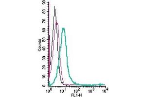 Cell surface detection of GPR174 by direct flow cytometry in live intact human JurkatT-cell leukemia cells: + Rabbit IgG Isotype Control-FITC (ABIN7582044).