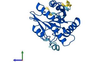 AlphaFold protein structure predicition of Human Recombinant OVCA2 Protein, UniprotID Q8WZ82