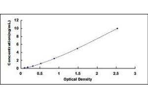 Typical standard curve (B3GALT2 Kit ELISA)