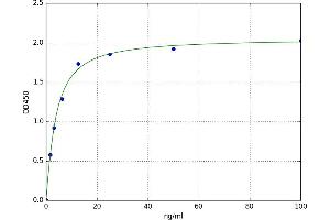 Lipase, Hepatic (LIPC) ELISA Kit