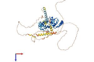AlphaFold protein structure predicition of Human Recombinant NT5C1B Protein, UniprotID Q96P26