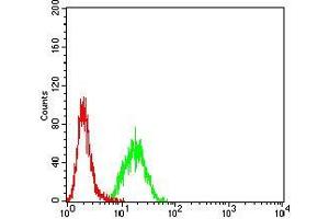 Flow cytometric analysis of Hela cells using MITF mouse mAb (green) and negative control (red). (MITF anticorps  (AA 1-114))