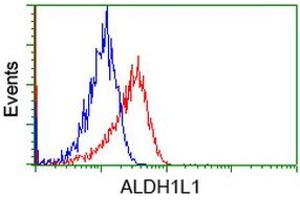 Image no. 2 for anti-Aldehyde Dehydrogenase 1 Family, Member L1 (ALDH1L1) antibody (ABIN1496582) (ALDH1L1 anticorps)