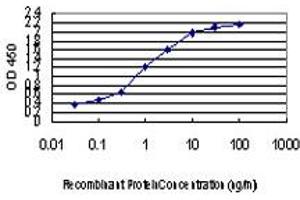 Detection limit for recombinant GST tagged MYBPC1 is approximately 0.
