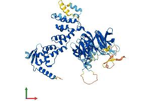 AlphaFold protein structure predicition of Human Recombinant KBTBD2 Protein, UniprotID Q8IY47