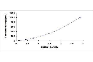 Typical standard curve (CCL24 Kit ELISA)