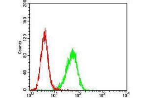 Flow cytometric analysis of Hela cells using TFF2 mouse mAb (green) and negative control (red).