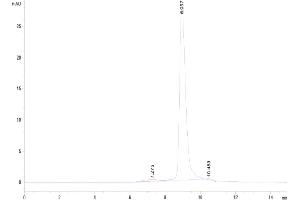 The purity of Cynomolgus Siglec-3 is greater than 95 % as determined by SEC-HPLC.