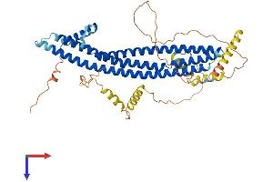 AlphaFold protein structure predicition of Mouse Recombinant Ica1 Protein, UniprotID P97411