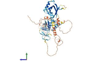 AlphaFold protein structure predicition of Human Recombinant APBB3 Protein, UniprotID O95704