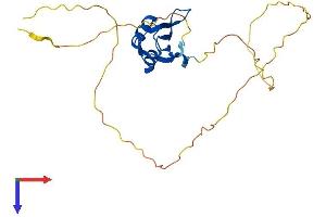 AlphaFold protein structure predicition of Mouse Recombinant Rbm38 Protein, UniprotID Q62176