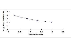 Typical standard curve (Vitamin B12 Kit ELISA)