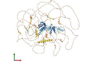 AlphaFold protein structure predicition of Mouse Recombinant Irs4 Protein, UniprotID Q9Z0Y7