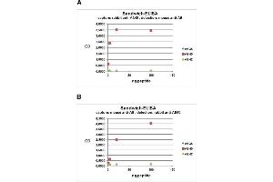 ELISA image for anti-Amyloid beta 1-40 (Abeta 1-40) (AA 33-40) antibody (ABIN1742443)