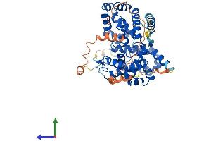 AlphaFold protein structure predicition of Mouse Recombinant Tbc1d10c Protein, UniprotID Q8C9V1