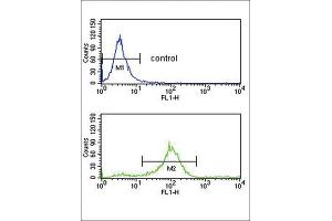 Flow Cytometry (FACS) image for anti-Secreted Frizzled-Related Protein 1 (SFRP1) antibody (ABIN3004008) (SFRP1 anticorps)