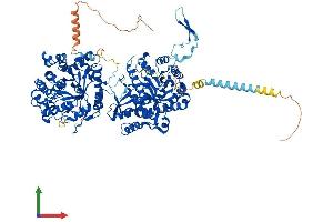 AlphaFold protein structure predicition of Human Recombinant KLB Protein, UniprotID Q86Z14