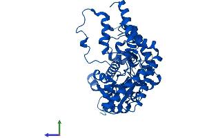 AlphaFold protein structure predicition of Human Recombinant DDC Protein, UniprotID P20711