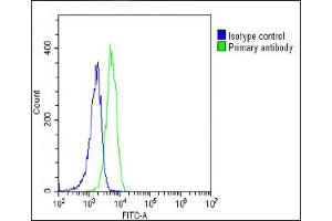Overlay histogram showing K562 cells stained with (ABIN652508 and ABIN2842341)(green line).