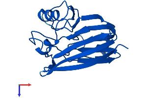 AlphaFold protein structure predicition of Human Recombinant VPS29 Protein, UniprotID Q9UBQ0