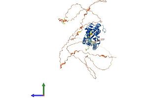 AlphaFold protein structure predicition of Human Recombinant TOR1AIP1 Protein, UniprotID Q5JTV8