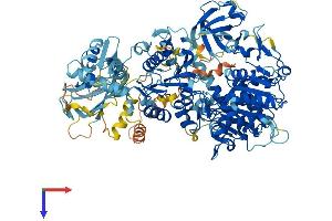 AlphaFold protein structure predicition of Mouse Recombinant Mov10 Protein, UniprotID P23249