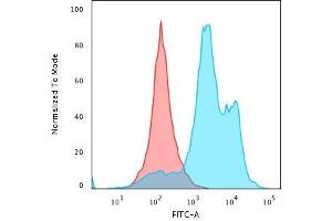 Flow Cytometric Analysis of paraformaldehyde-fixed HeLa cells using Histone H1 Rabbit Recombinant Monoclonal Antibody (HH1/1784R) followed by goat anti-rabbit IgG-CF488 (Blue); Isotype Control (Red).