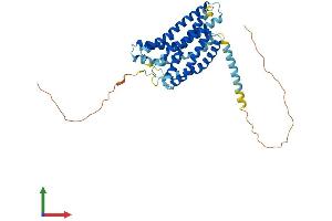 AlphaFold protein structure predicition of Mouse Recombinant Gpr132 Protein, UniprotID Q9Z282