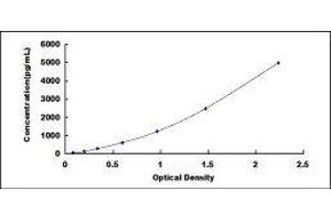 ELISA image for Defensin, beta 1 (DEFB1) ELISA Kit (ABIN1383615)
