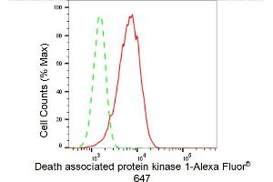 Flow cytometric analysis of Death associated protein kinase 1 expression in HepG2 cells using Death associated protein kinase 1 antibody (ABIN7798295), 1:2,000). (Recombinant DAP Kinase 1 anticorps)