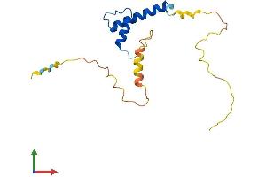 AlphaFold protein structure predicition of Human Recombinant ID4 Protein, UniprotID P47928