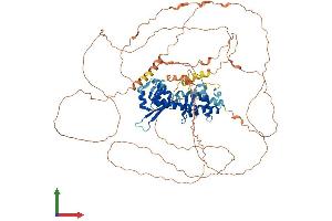 AlphaFold protein structure predicition of Mouse Recombinant Maged1 Protein, UniprotID Q9QYH6