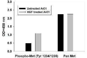 Image no. 3 for Met Proto-Oncogene (MET) ELISA Kit (ABIN625228)