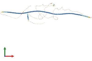 AlphaFold protein structure predicition of Mouse Recombinant Ccdc62 Protein, UniprotID E9PVD1