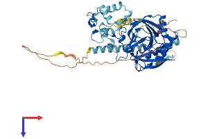 AlphaFold protein structure predicition of Mouse Recombinant P4htm Protein, UniprotID Q8BG58