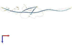 AlphaFold protein structure predicition of Human Recombinant SPAG5 Protein, UniprotID Q96R06