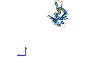 AlphaFold protein structure predicition of Mouse Recombinant Mrgprx2 Protein, UniprotID Q3UG50