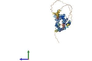 AlphaFold protein structure predicition of Mouse Recombinant Htr2a Protein, UniprotID P35363