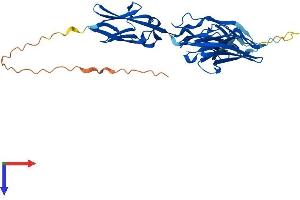 AlphaFold protein structure predicition of Mouse Recombinant Mybphl Protein, UniprotID Q5FW53