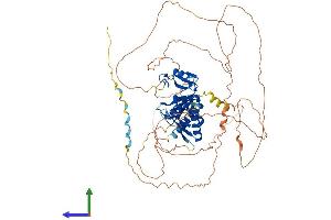 AlphaFold protein structure predicition of Mouse Recombinant Mex3c Protein, UniprotID Q05A36