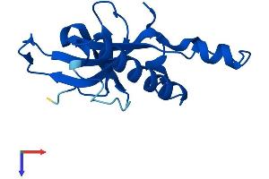 AlphaFold protein structure predicition of Human Recombinant RPL27 Protein, UniprotID P61353