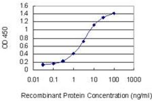 Detection limit for recombinant GST tagged CGB5 is 0.